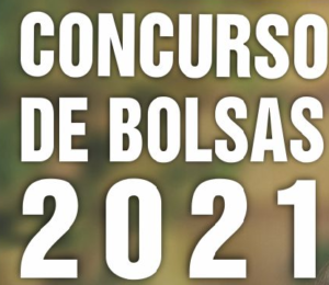 RESULTADO CONCURSO DE BOLSAS 2021 MUNDIAL!!!!