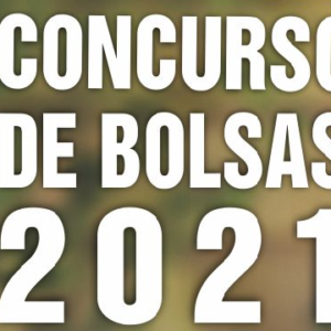 RESULTADO CONCURSO DE BOLSAS 2021 MUNDIAL!!!!